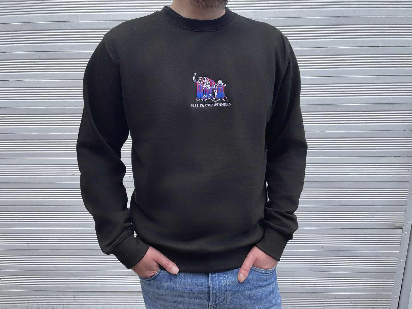 Crystal Palace 2025 FA Cup Winners | Embroidery | Sweatshirt
